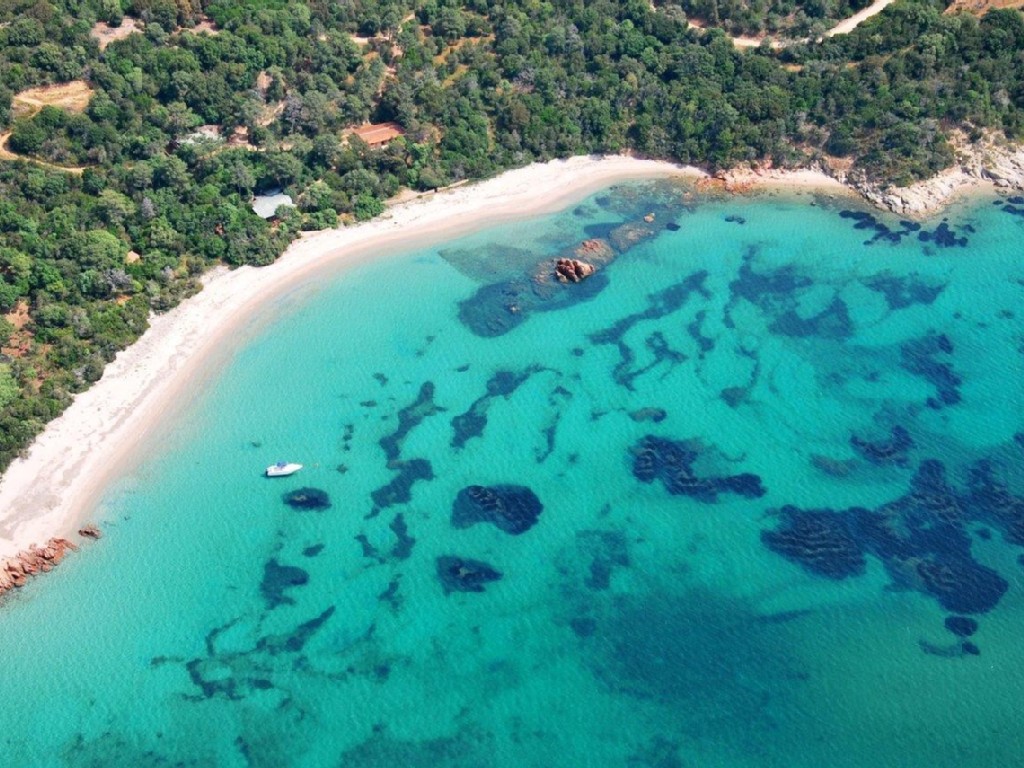 mare-capo-corso-corsica