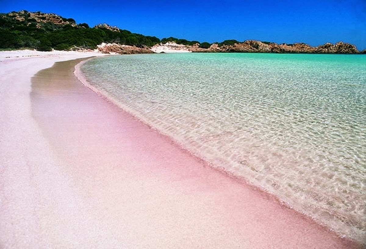 SPIAGGIA ROSA BUDELLI