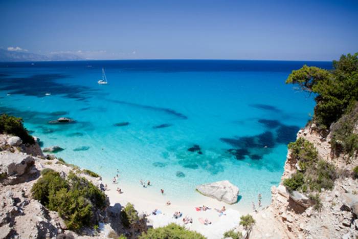 cala_longa-SANTA MANZA
